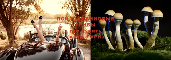 каннабис Арсеньев