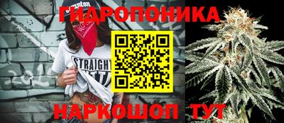 сатива Партизанск