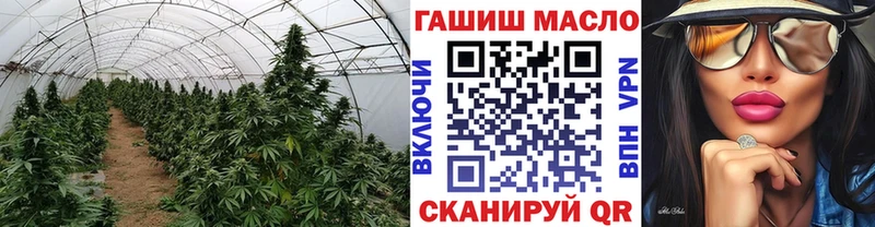 где купить   Георгиевск  ТГК концентрат 