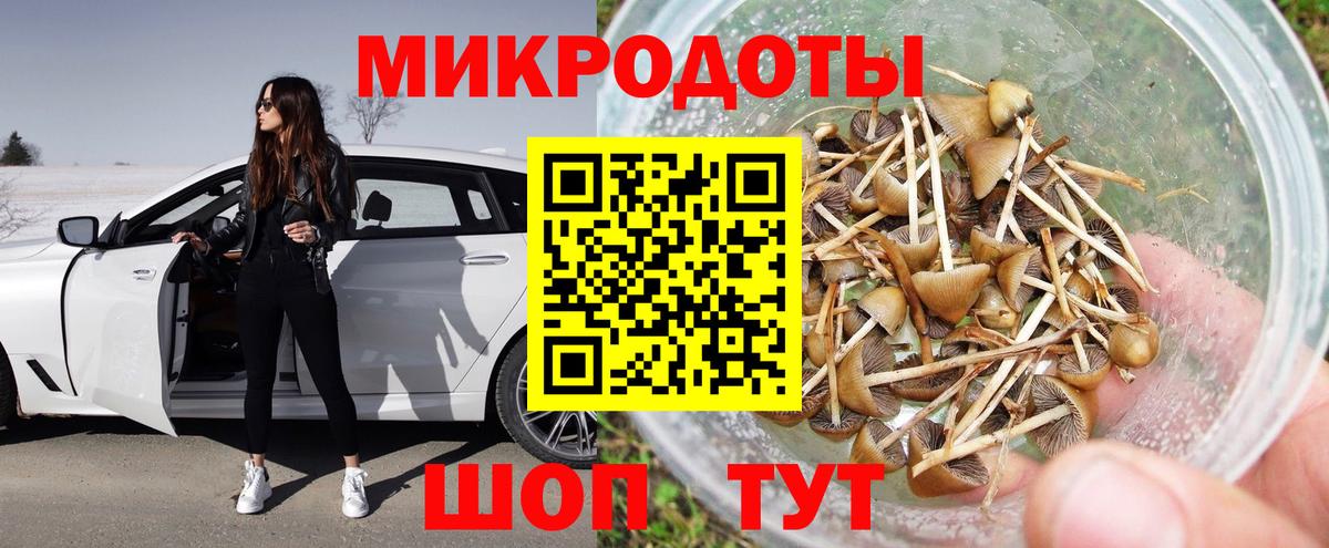 Псилоцибиновые грибы Cubensis  Псилоцибиновые грибы GOLDEN TEACHER  Георгиевск  Вход с VPN 